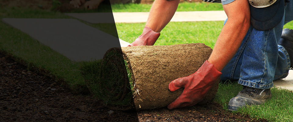 Guilford Landscapers